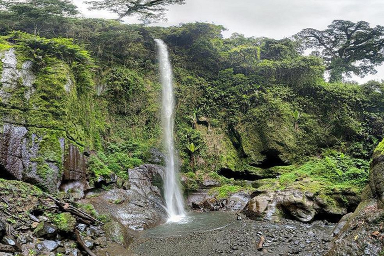 Arusha: Excursión de un día a las cataratas del Monte Meru con almuerzo