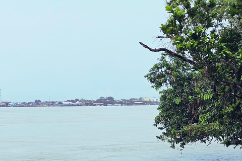 Belém: Canoeing through the holes and streams of the islands with breakfast. Belém: Canoeing through the channels and streams of the islands with breakfast