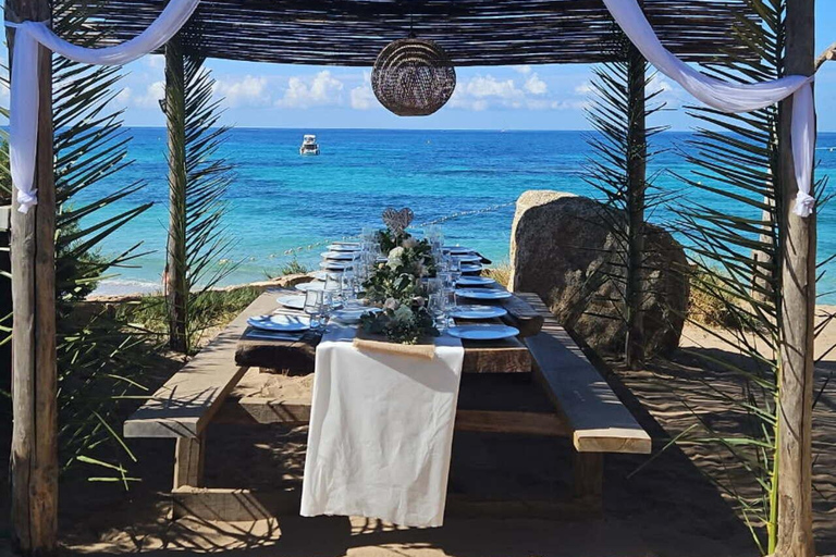 Ajaccio: excursão particular de catamarã de 1 dia com Chez FrancisAjaccio: excursão particular de 1 dia em catamarã com Chez Francis