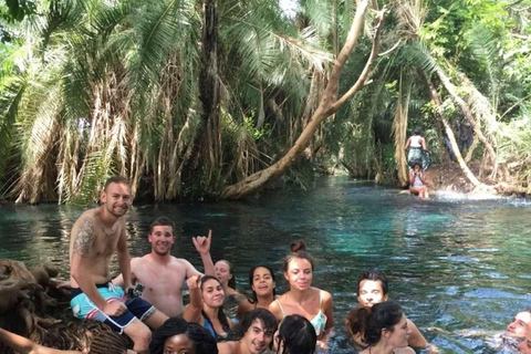 1 Day Private Kikuletwa Hotspring