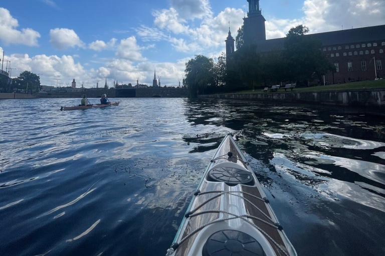 Stockholm : visite guidée écologique de la ville en kayak