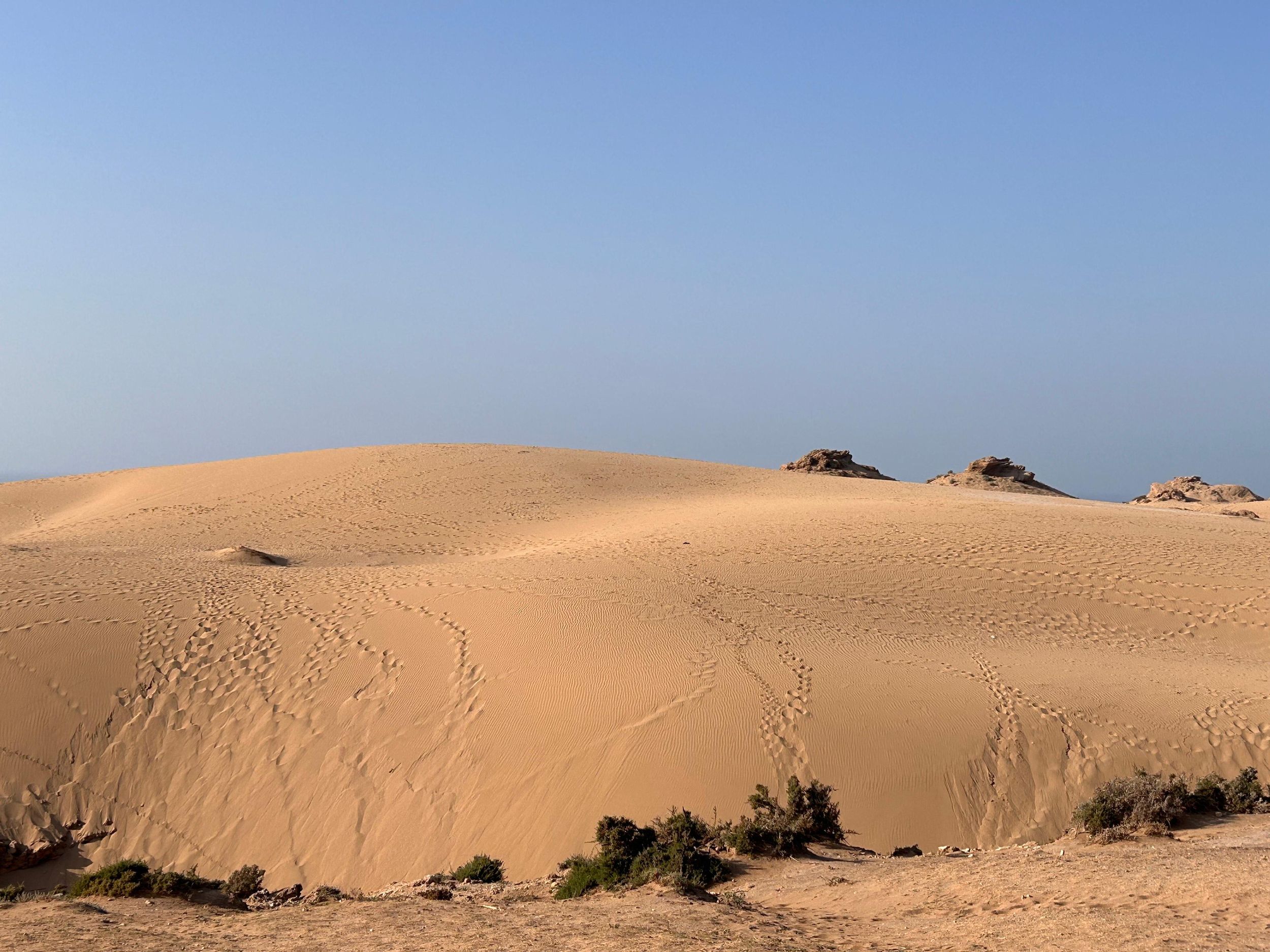 Agadir: Taghazout, farbenfrohes Dorf & Ausflug in die Timlaline-Wüste