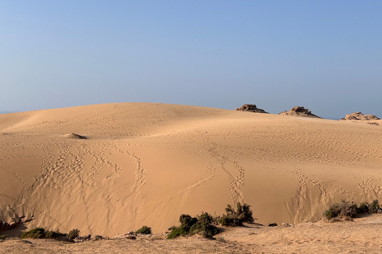 Agadir: Taghazout, färgglad by och utflykt till Timlaline-öknen