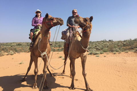 Experience Camel safari in desert of Rajasthan Near Jodhpur