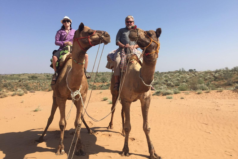 Experience Camel safari in desert of Rajasthan Near Jodhpur