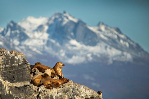 Ushuaia: Navigation through Beagle Channel & Bridges Islands