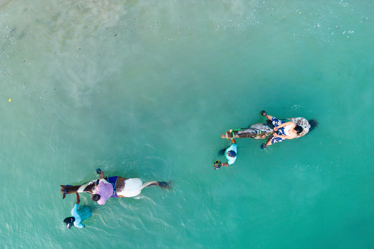 Zanzibar: Horseback Riding Experience