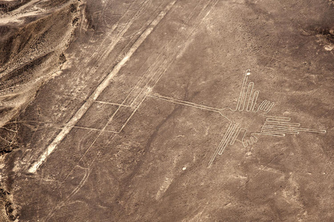 2 days from Lima Ballestas, Paracas, Huacachina and Nazca