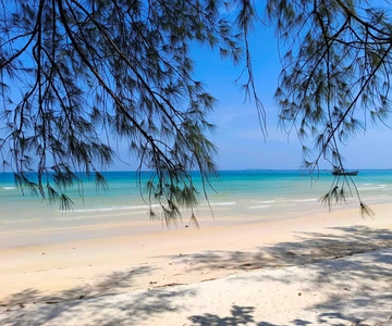 Koh Rong Samloem: Viagem de 1 dia a partir de Phnom Penh - Caminhada e Snorkel