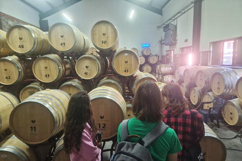 From Plovdiv: Wine Escape to the Rhodope Foothills