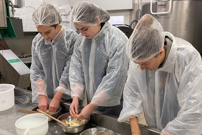 Pisa: Kaas maken en proeven met een kleine groep