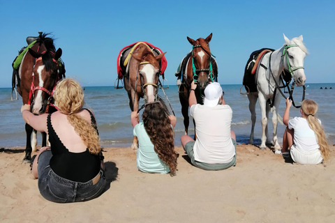 Makadi Bay: ATV, Horse, and Camel Ride Tour