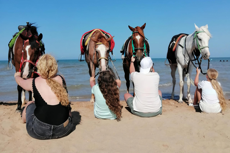 Makadi Bay: ATV, Horse, and Camel Ride Tour