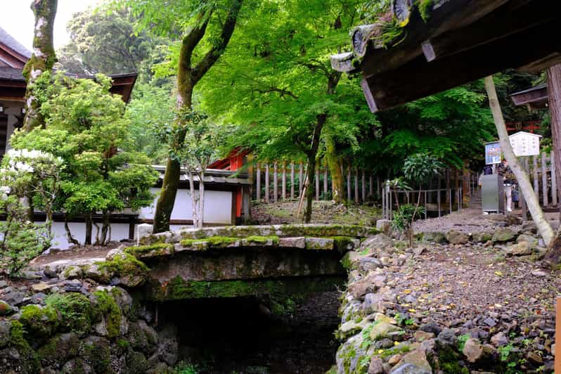 Kyoto: The Forest Within the Gate: Shiffert, Edith, Einarsen