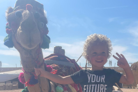 Baia di Makadi: Cena beduina di lusso BADU e osservazione delle stelleHurghada: Cena beduina di lusso BADU e osservazione delle stelle