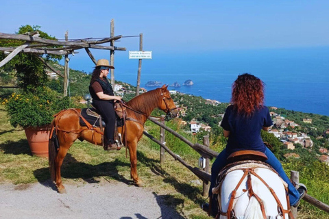 Sorrento: 3-godzinna przejażdżka konna po półwyspie Sorrento