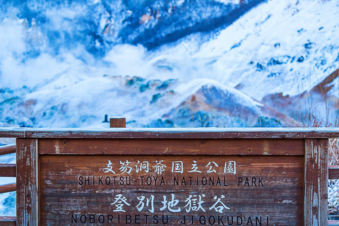 سابورو جولة وادي الجحيم نوبوريبيتسو وبحيرة تويا وشيكوتسو8:30 الالتقاء في فندق طوكيو ريي (بدون تذكرة 