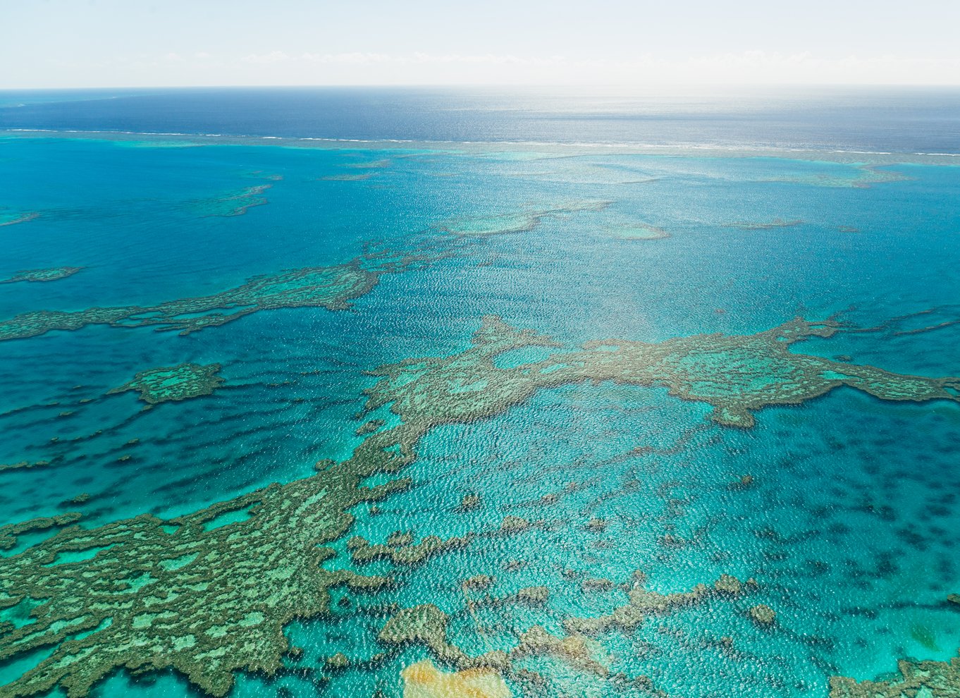 Fra Airlie Beach: Whitsundays Scenic Flight med afhentning