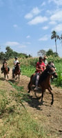 Tour de 2 días: paseando a caballo / pirámides de Tucume - Housity