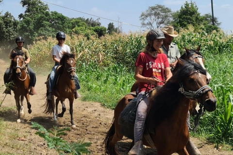 Peru, Chiclayo: 1 dag paardrijden en oude piramidesPeru, Chiclayo: 1 dag paardrijden, oude piramides/bos