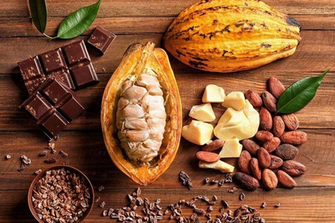 Punta Cana: Cultural Tour with Coffee Tasting, Cocoa & Lunch