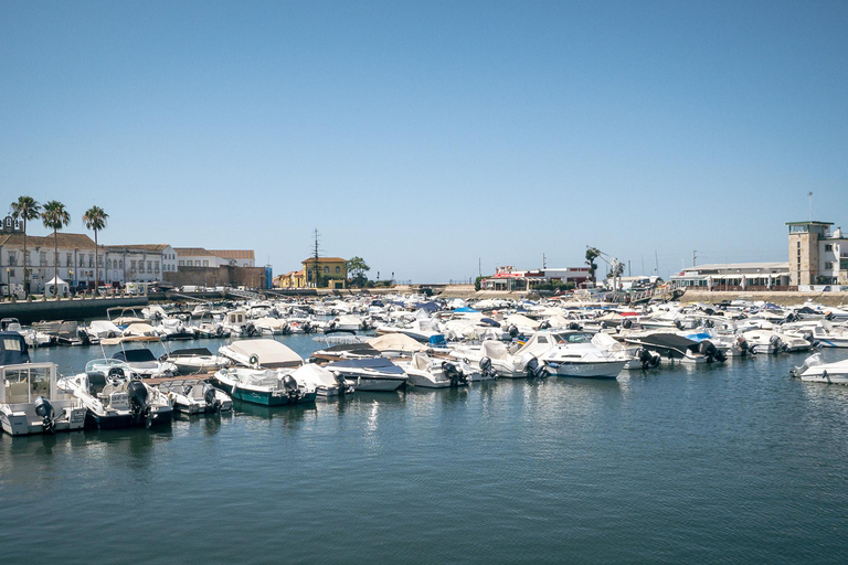 Faro: Personal & Flexible Walking Tour in Historic Center