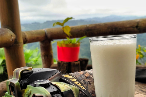 Mindo: "Birds, Chocolate/Coffee and waterfalls"