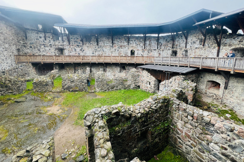 Da Helsinki: Rovine del castello di Raasepori e centro storico di Ekenäs