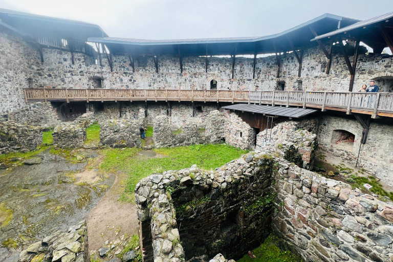 Da Helsinki: Rovine del castello di Raasepori e centro storico di Ekenäs