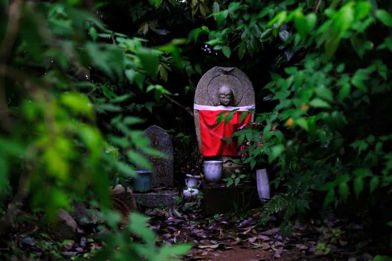 Kyoto: The Forest Within the Gate: Shiffert, Edith, Einarsen