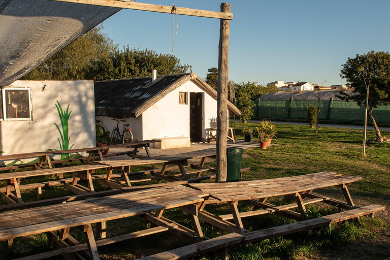 Albufera: Sunset and visit to the barrack