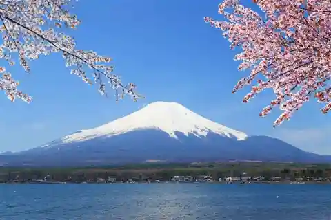 成田空港（NRT）から富士山までのプライベート送迎