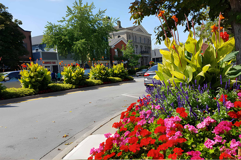 Toronto Dagsutflykt till Niagara-on-the-Lake, vingård och choklad