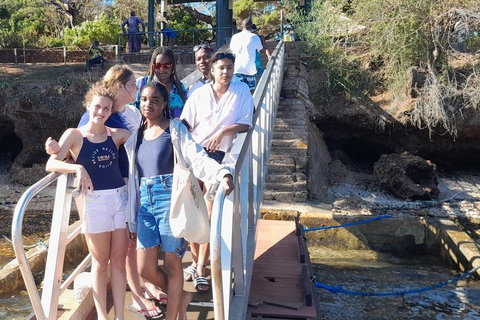 L&#039;île de Wasini : Plongée en apnée, observation des dauphins, cuisine de fruits de mer