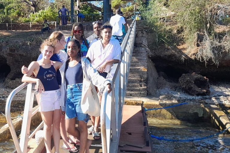 Isola di Wasini: Snorkeling, osservazione dei delfini, cucina a base di pesce