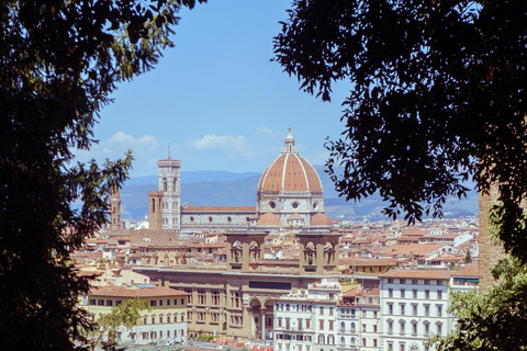 Golf Cart Tour of Florence Michelangelo & Panoramic Hills Florence: Private 60-Minute Eco-Friendly Golf Cart City Tour