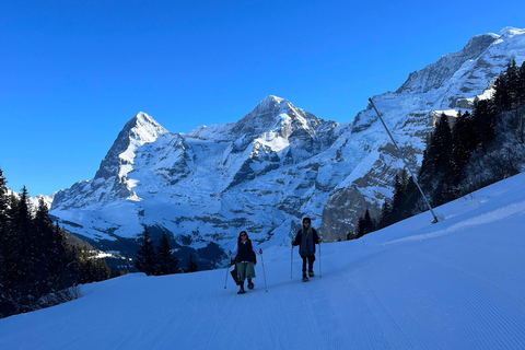 Giornata di escursioni nelle Alpi svizzereAvventura con le racchette da neve e la fonduta nelle Alpi svizzere