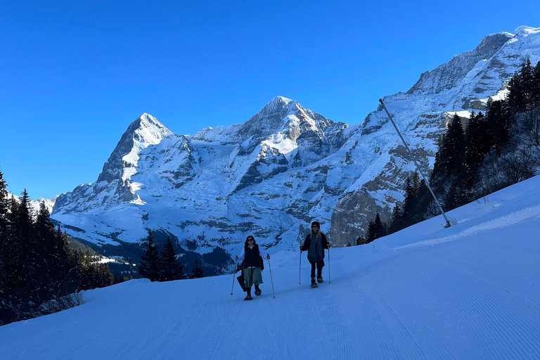 Wandeldag in de Zwitserse AlpenSneeuwschoen- en fondueavontuur in de Zwitserse Alpen