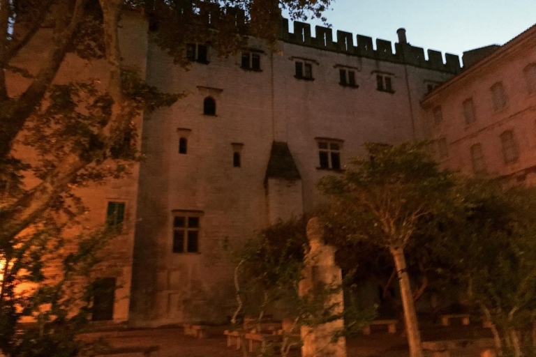 Avignon: La Noctambule du Pape NachttourFührung auf Englisch