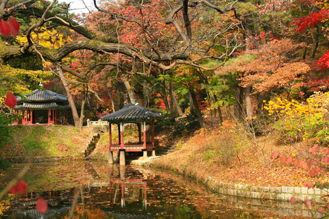 Seoul: Royal Palaces, Secret Garden, and Hanok Village Tour