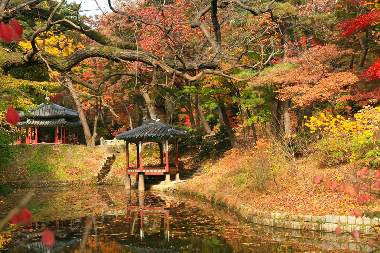 Seoul: Royal Palaces, Secret Garden, and Hanok Village Tour