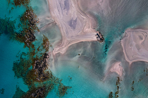 Chania: Elafonisi strand dagtrip met lokale honingfabriek