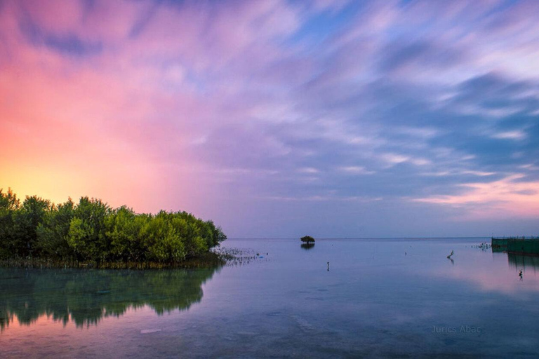 شمال قطر: قلعة الزبارة، قرية الجميل، أشجار القرم في الذخيرة