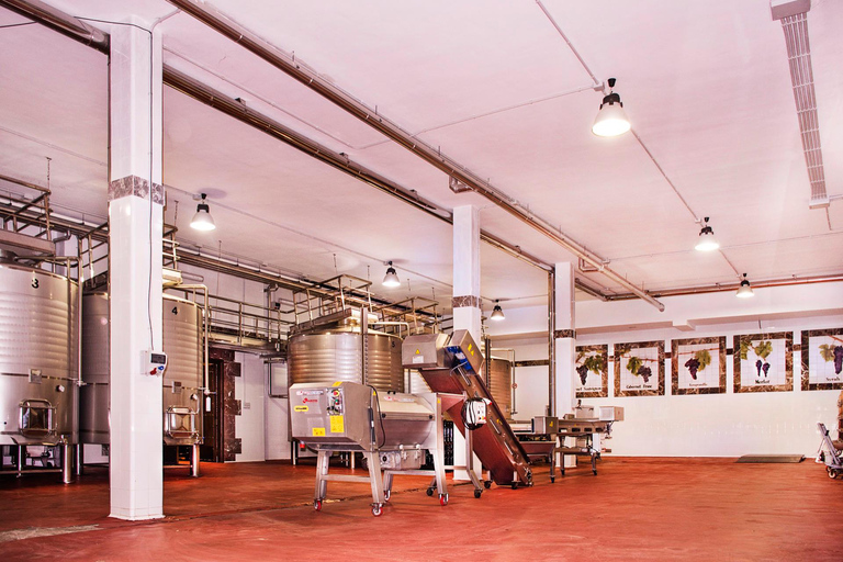 Ronda : visite d&#039;un domaine viticole avec dégustation de vins et tapas