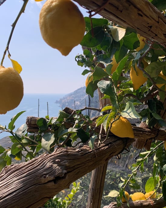 SALERNO: Leichter Wanderweg der Zitronen - Maiori Minori Ravello SALERNO: Leichter ...