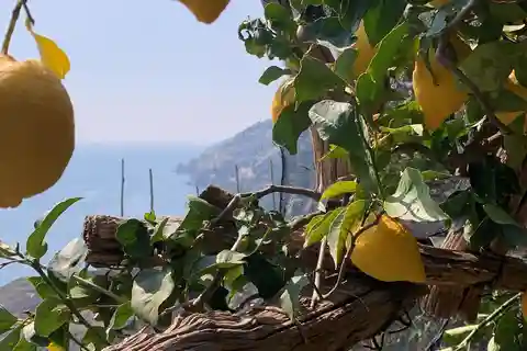 SALERNO: Lätt vandringsled för citroner - Maiori och Minori