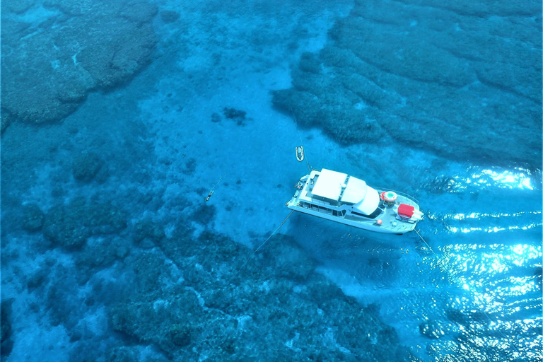 Half-Day Snorkeling Trip to Kerama