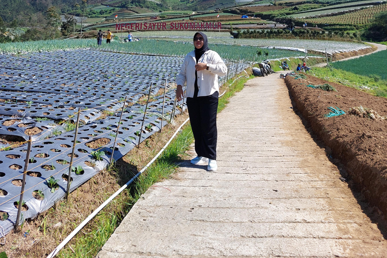 Magelang: Silancur Highland Sunrise & Sukomakmur Tour