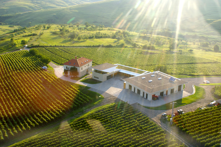 Bucharest: Discover the Magic of Romanian Wine