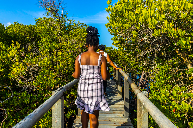 Exploring Nature's Treasures: A Private Day Trip in Diani Exploring Nature's Treasures: A Day Trip in Diani